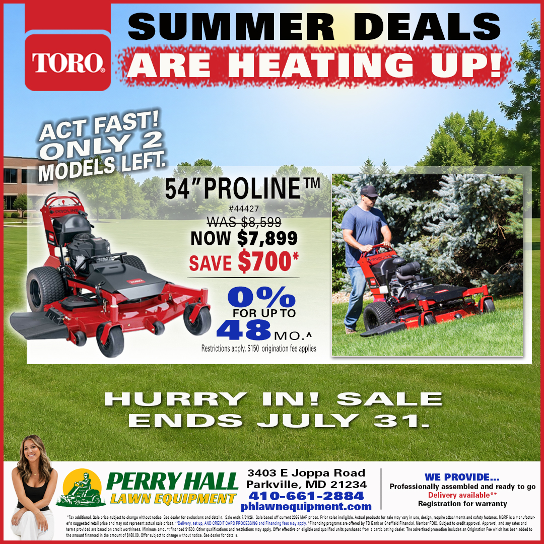Toro Sale ad
