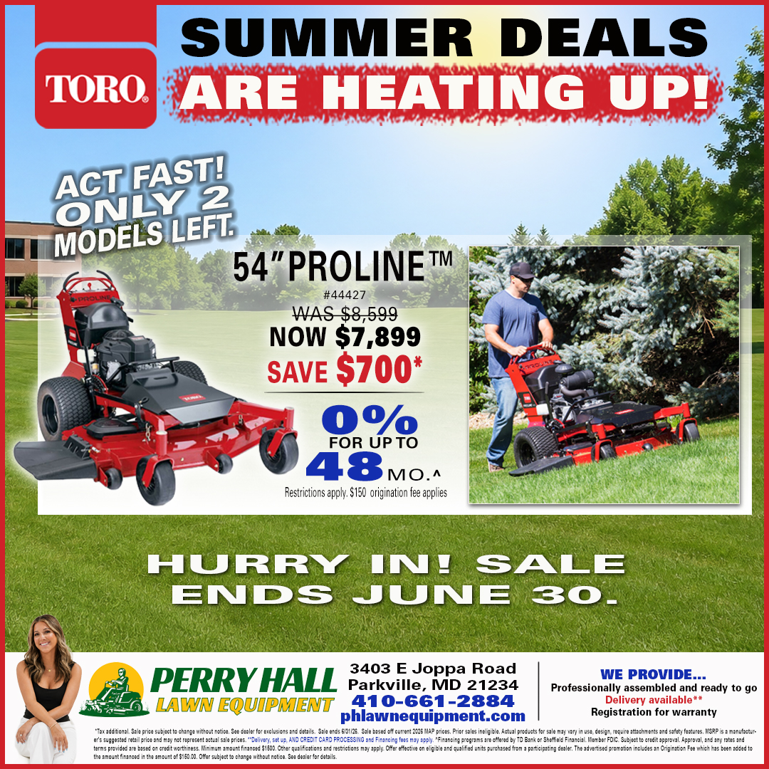 Toro Sale ad